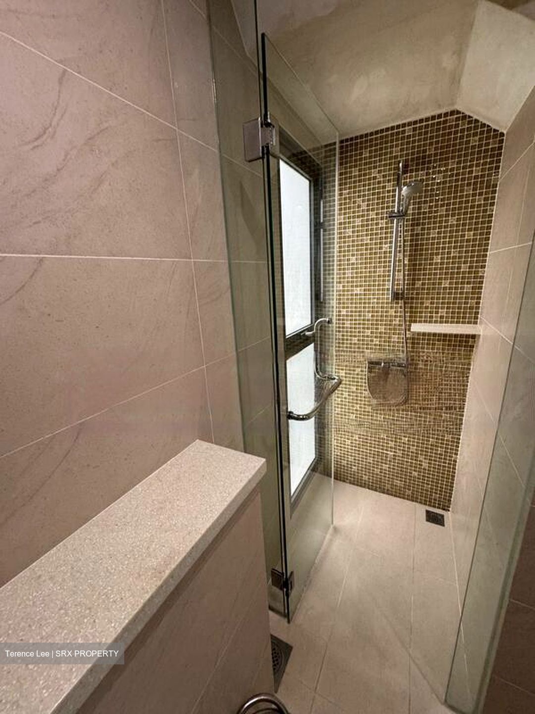 The Miltonia Residences (D27), Condominium #461400251
